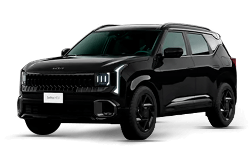 Aurora Black Pearl